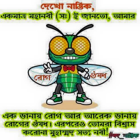 20246098_460577927640286_4805223148988368212_n