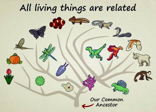 48388883_277956653070473_8187299532761989120_n