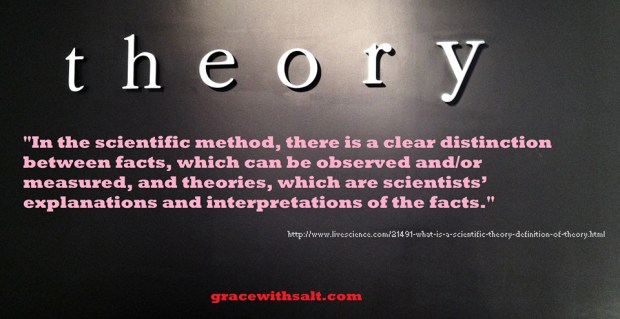 54393351_10217919694973667_9011875533528498176_n